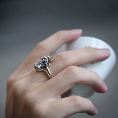Sterling Silver Pixiu Bite Copper Coin Ring